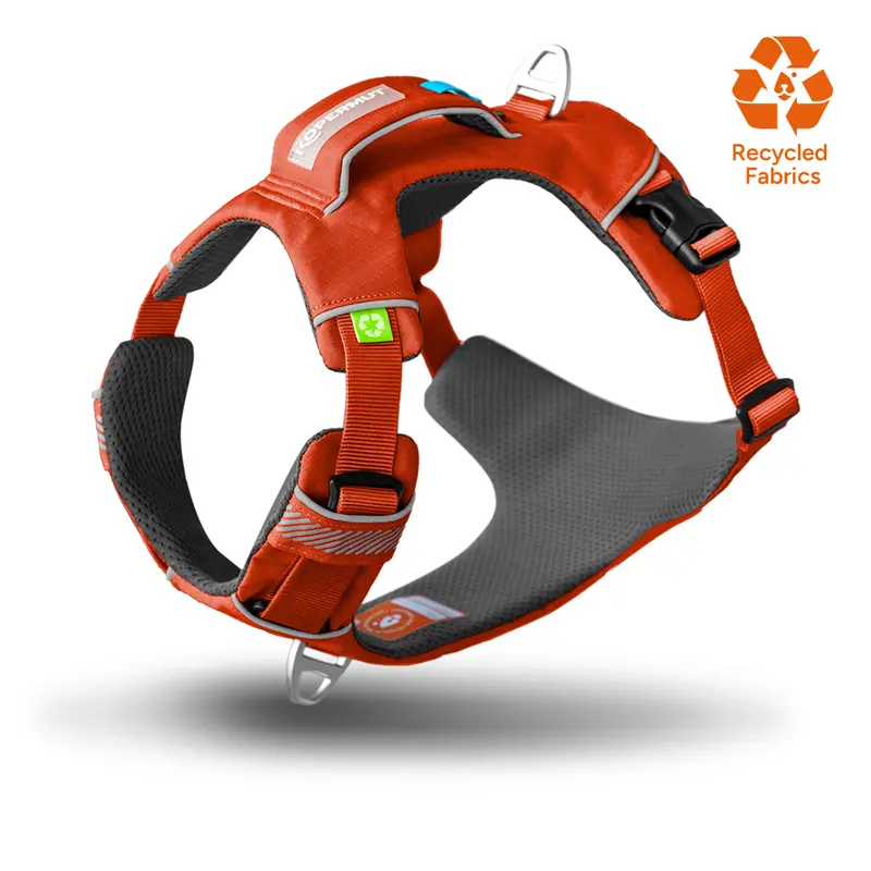 Dolomitic™ Harness
